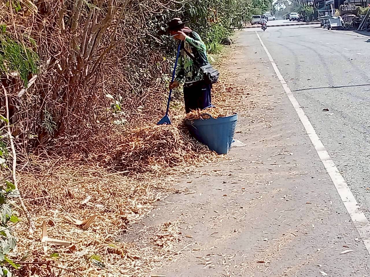 กองสาธารณสุขและสิ่งแวดล้อม เทศบาลตำบลบ้านม่วง ออกเก็บขยะ กิ่งไม้ ใบไม้ ในบริเวณเขตเทศบาลตำบลบ้านม่วง ตามมาตราการห้ามเผา เพื่อป้องกันและแก้ไขปัณหาฝุ่น PM 2.5 และหมอกควัน ซึ่งส่งผลกระทบต่อระบบทางเดินหายใจ โดยห้ามเผาในที่โล่งโดยเด็ดขาด